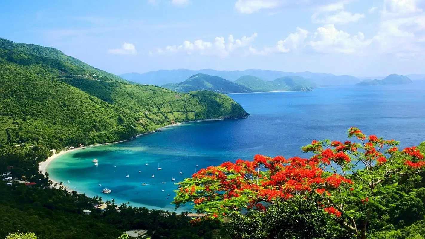 稳定性智慧高性能